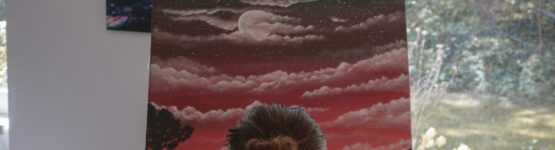 Malirske platno na ramu zaklad kazdeho umeleckeho dila